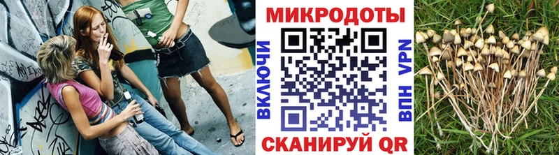 Псилоцибиновые грибы MAGIC MUSHROOMS  Купить где  Горячий Ключ 